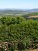 Appartamenti con piscina in Umbria, panorama