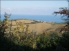 appartamenti in affitto a roseto degli abruzzi