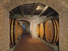 Vino e Vini dell'Umbria in Mostra e Assaggi