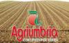 Agriumbria Mostra mercato nazionale Agricoltura, Hotel vicino Umbriafiere