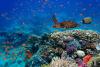 pacchetto-vacanza-Imperdibile-Sharm-volo-Hotel-allinclusive