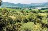 Casa vacanza con vista panoramica nel verde Magione