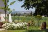 Agriturismo Azienda Agricola vicino Assisi