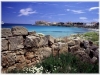 Visit Pianosa, Stay in agritourism