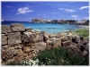 Visitare Pianosa, dormire in agriturismo 