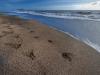Albergo 4 stelle a Latina con spiaggia privata