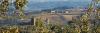 Hotel e BB vicino a Vinci, Provincia Firenze