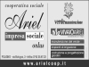 logo ariel
