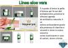 IMPERYA: Linea Aloe Vera