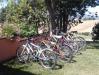 Noleggio biciclette a Pisa
