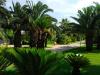Villaggio in Puglia 4 stelle: area-verde total relax