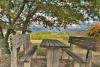 Casolare con Zona picnic ombreggiata