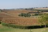A Castiglione del Lago Villa con Suite