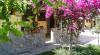 Alloggio con giardino privato, Villaggio Palinuro