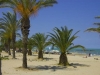 offerte last minute grottammare