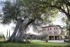 camere-locandasullago-lagotrasimeno-piscina-ristorante-giardino
