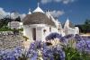 Trulli ed apartamenti vacanza in Affitto, prezzi bassi