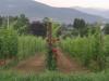Agriturismo con attività agricola a Umbertide