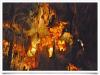 Visite Guidate alle Grotte di Castellana