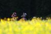 escurzioni mountain bike organizzati dalla nostra struttura	