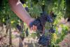 Relais con produzione vino Lipari Sicilia 