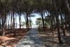 hotel-villaggio-spiaggiaprivata-piscina-wifigratis-animazione-selliamarina