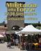 MILITARIA ALLA TORRE SETTEMBRE