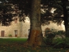 particolare tenuta