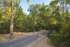 Splendido Villaggio 4Stelle vicino al Mare 