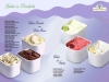 Gelato mantecato per la ristorazione, vendita e pr