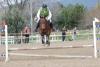 Corsi di equitazione in Umbria