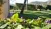 Agriturismo con giardino Valle del Nera in Umbria