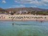 Hotel Costa Domiziana, fronte mare, per famiglie