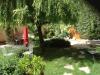 B&B immerso nel verde in Piemonte