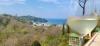 Azienda Agricola e produzione vini a Ischia