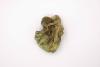Ella Littwitz, Forbidden Fruit ?>