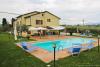 Piscina negli ulivi con vista panoramica