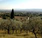 Vista Panoramica su Santa-Maria degli Angeli e Perugia