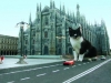hotel in emilia vicino italia in miniatura