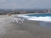 long beaches and clean water in Bovalino