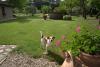 Agriturismo con animali ideale per bambini
