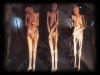 Le mummie