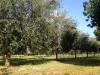 Agriturismo B&B immerso nel verde