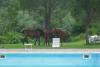 Casali con Appartamenti e Piscina vicino Assisi