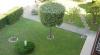 Piccolo giardino in Residence Tirrenia