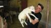 agriturismo con animali da cortile