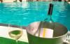 Aperitivo in piscina in Abruzzo