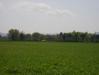 Vista Della Tenuta Agricola Immersa Nel Verde