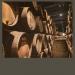 Relais produzione propria vini di qualità km0