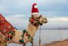offerta-inverno-sharm-gennaio-febbraio-marzo-allinclusive
